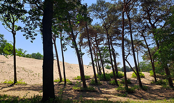 Zuid-Kennemerland